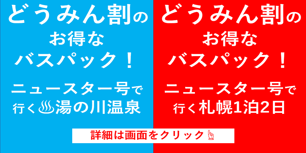 北海道バス株式会社 札幌 函館 釧路間の都市間高速バス 特急ニュースター号